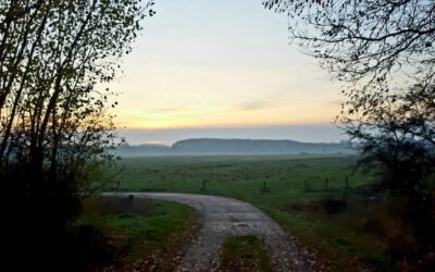 Mitglieder zahlen im nächsten Beitragsjahr nur die Hälfte