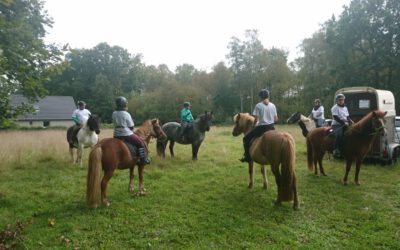 Ausritt für Vereinsmitglieder