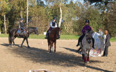 Seminar „Reitschulen reiten aus“  