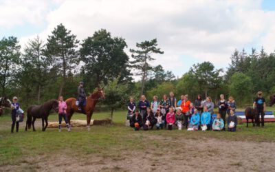 Ausschreibung 2. Rallye mit Pferd – Aktuell nur für Mitglieder online!