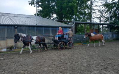 Das war “Kutschen vs. Reiter” in Dithmarschen