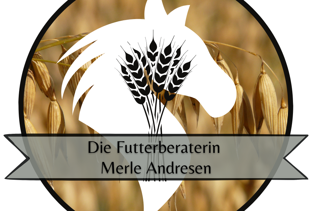 Neuer Kooperationspartner – Merle Andresen