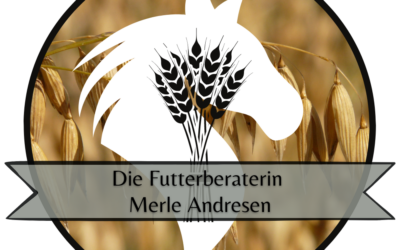 Neuer Kooperationspartner – Merle Andresen