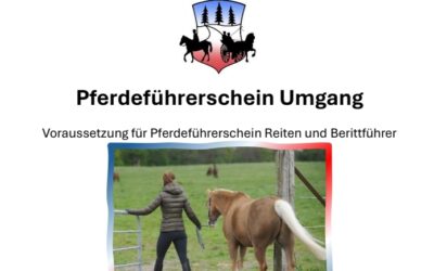Start – Ausbildungsreihe- Pferdeführerschein Umgang