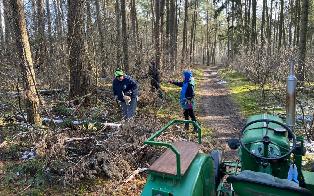 PI – Arbeitseinsatz Holmer Sandberge