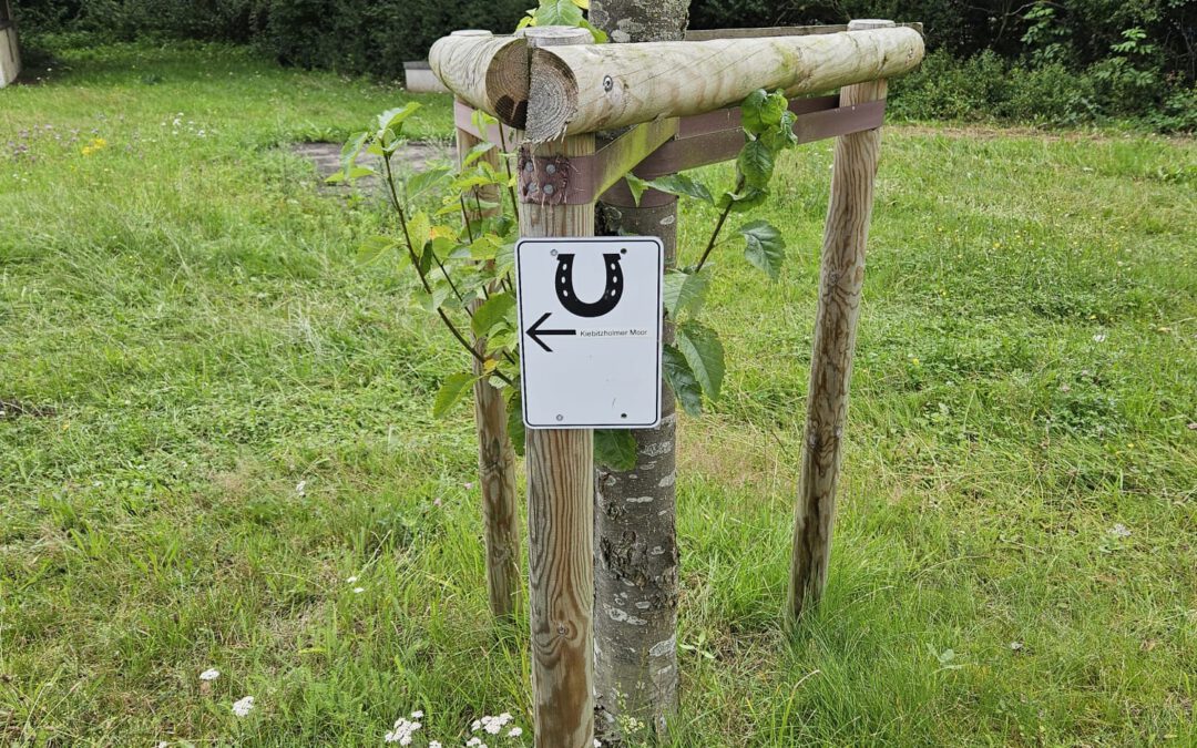 SE – Neuer Reitweg im Kiebitzholmer Moor