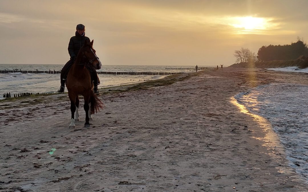 Die Strandsaison startet in SH – alle Infos ->