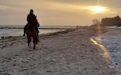 Die Strandsaison startet in SH – alle Infos ->