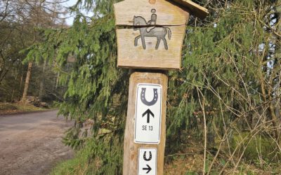 Mulchen von Reitwegen – wo herrscht Bedarf?