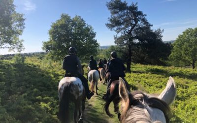 Wanderreitcamp 2026 Ausschreibung online