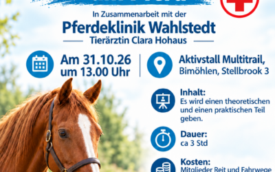 Erste Hilfe Kurs am Pferd