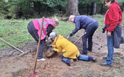 SE – Freiräumaktion im Boostedter Wald