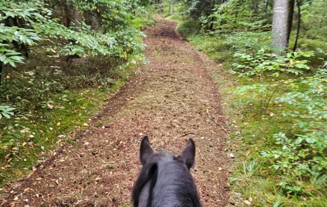 SE – Reitweg im Segeberger Forst wieder hergestellt
