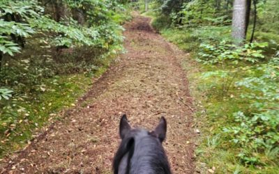 SE – Reitweg im Segeberger Forst wieder hergestellt